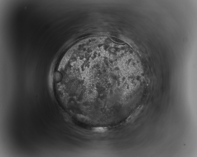 X0000087520053200705181020