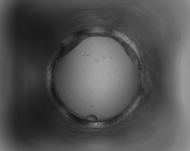 X0000087520057200705181020