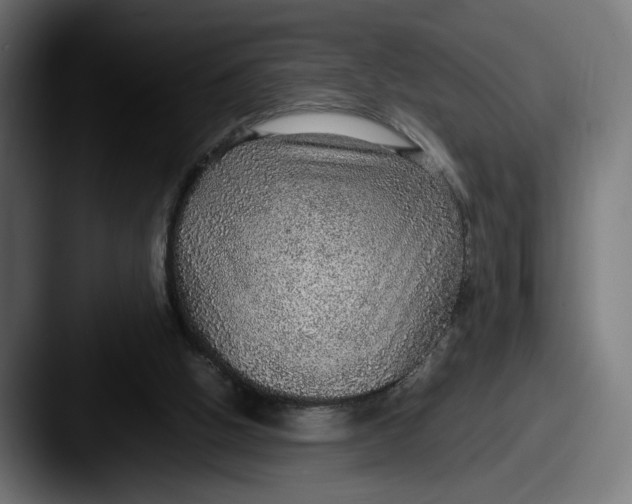 X0000087520058200705181020