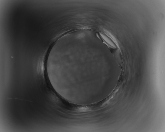 X0000087520059200705181020