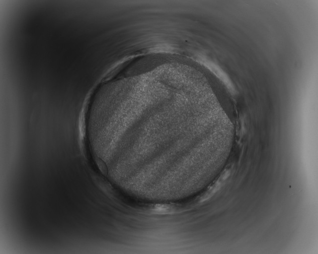 X0000087520060200705181020