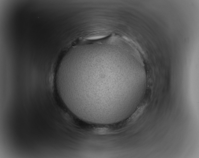 X0000087520066200705181020