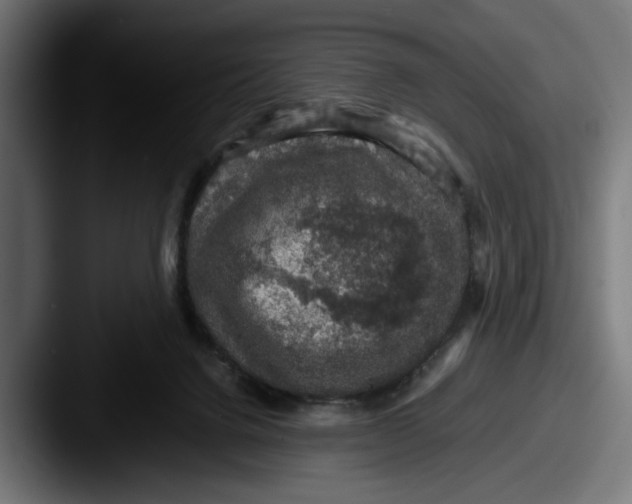 X0000087520072200705181020