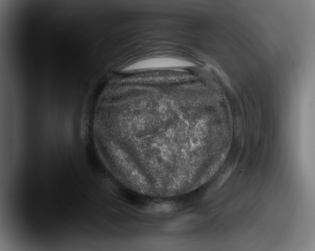 X0000087520073200705181020