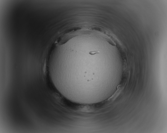 X0000087520074200705181020