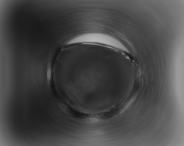 X0000087520076200705181020