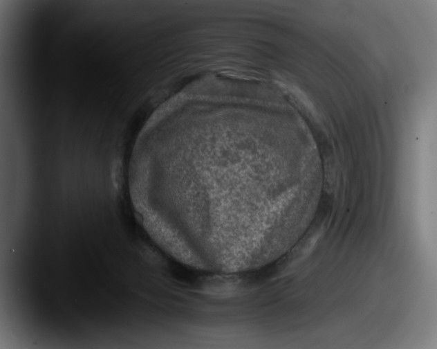 X0000087520077200705181020