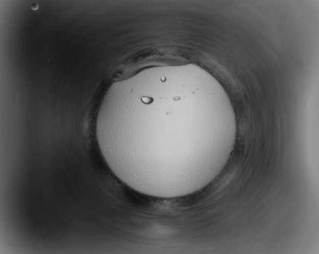 X0000087520079200705181020