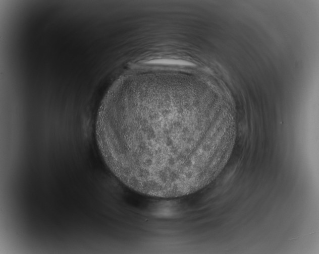 X0000087520081200705181020