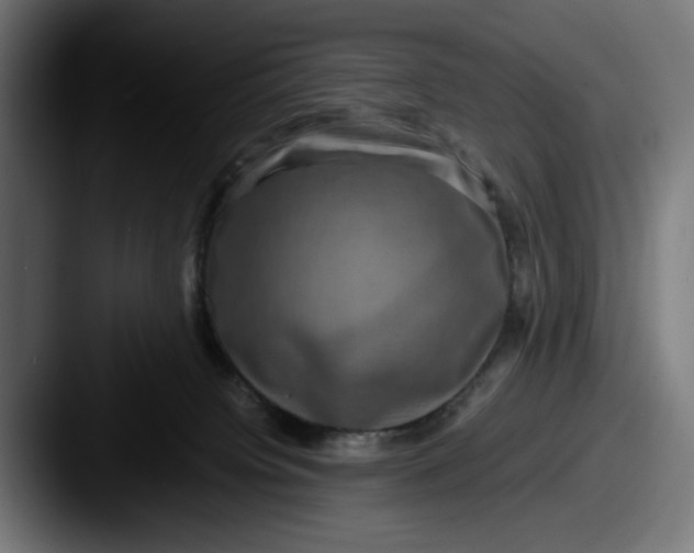 X0000087520084200705181020