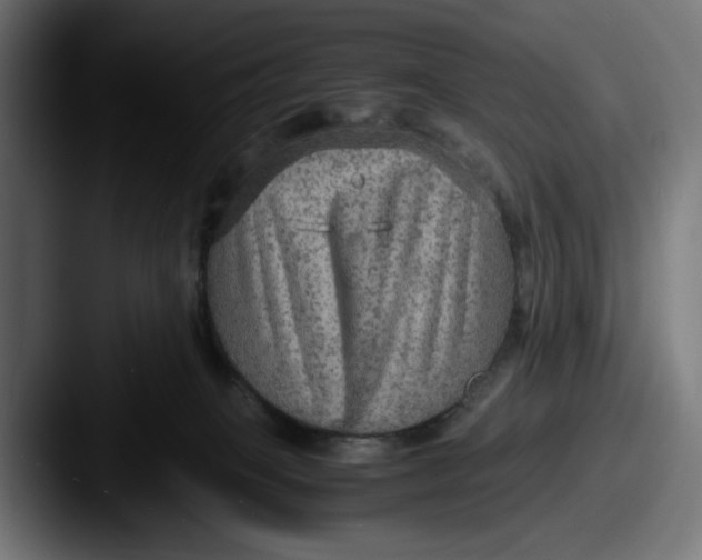 X0000087520085200705181020