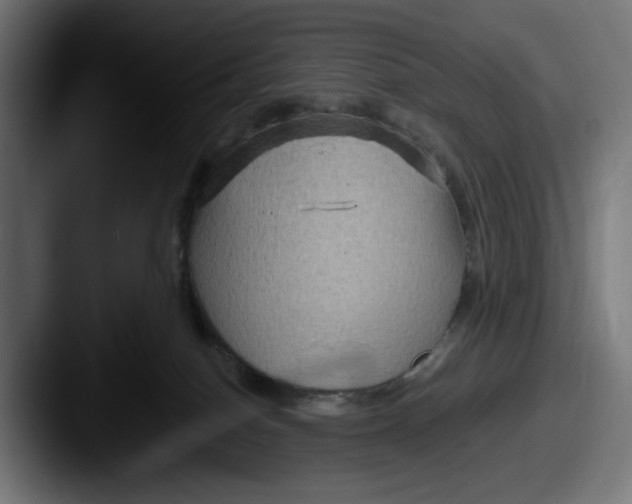 X0000087520086200705181020