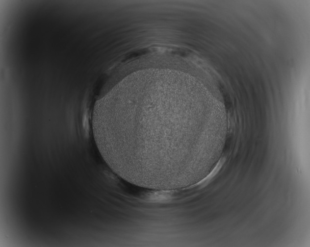 X0000087520094200705181020