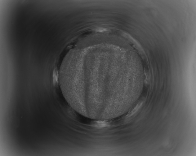 X0000087520095200705181020