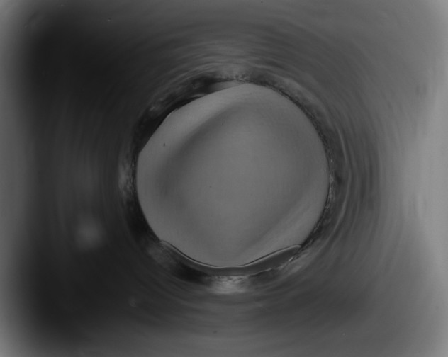 X0000087520096200705181020