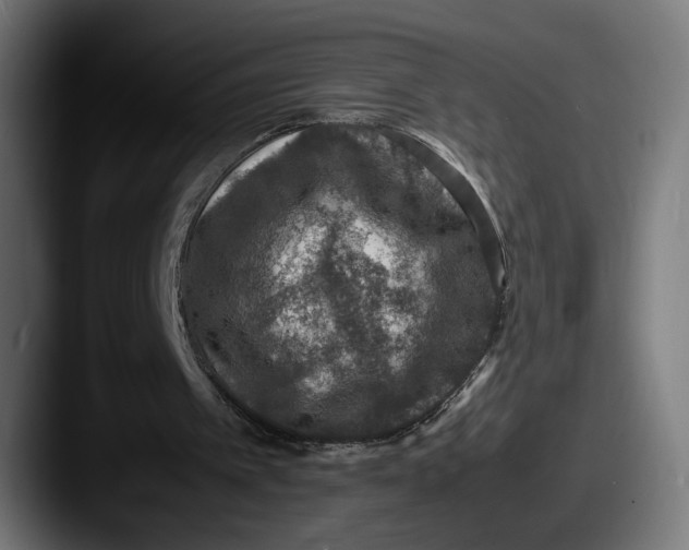 X0000087520097200705181020