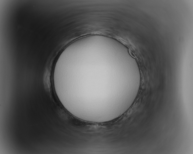 X0000087520098200705181019