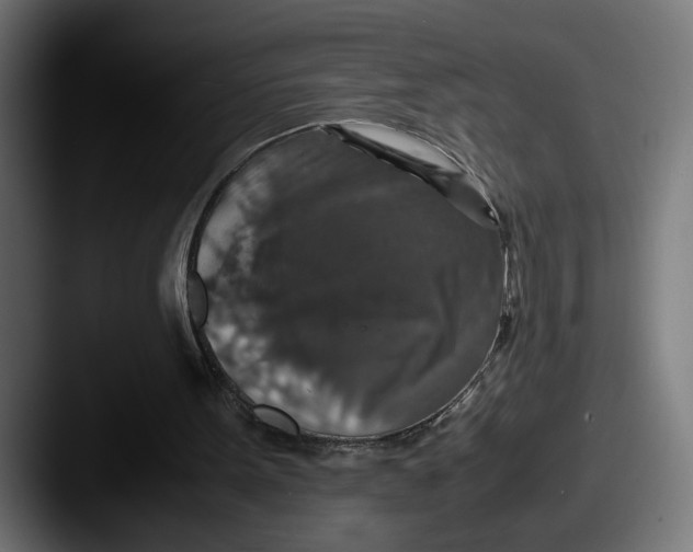 X0000087520099200705181019