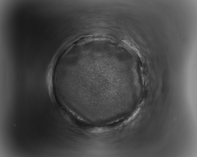 X0000087520101200705181019