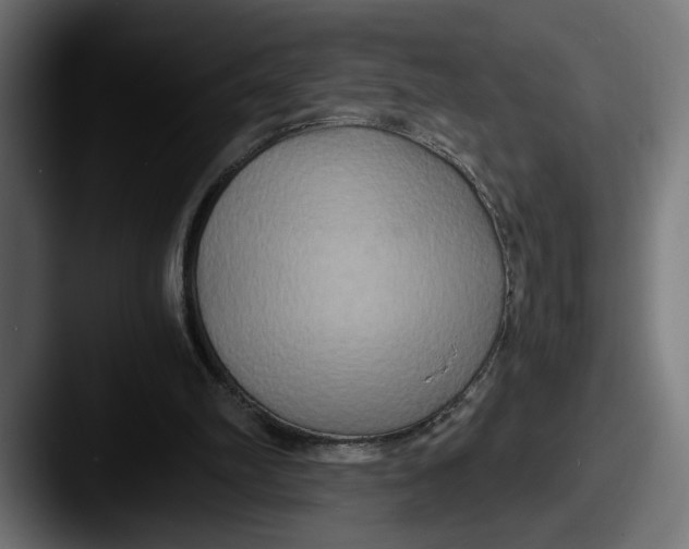 X0000087520102200705181019