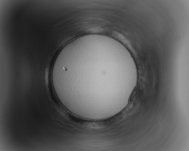 X0000087520106200705181019