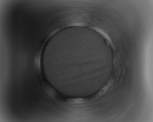 X0000087520108200705181019