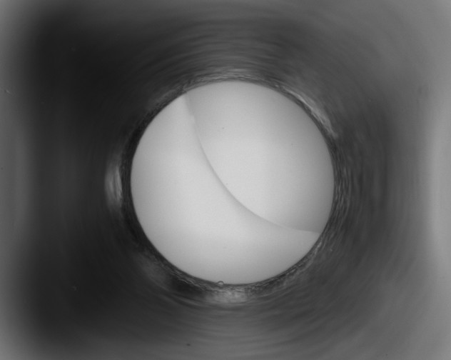 X0000087520110200705181019