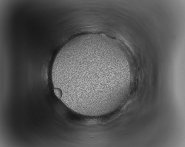 X0000087520115200705181019