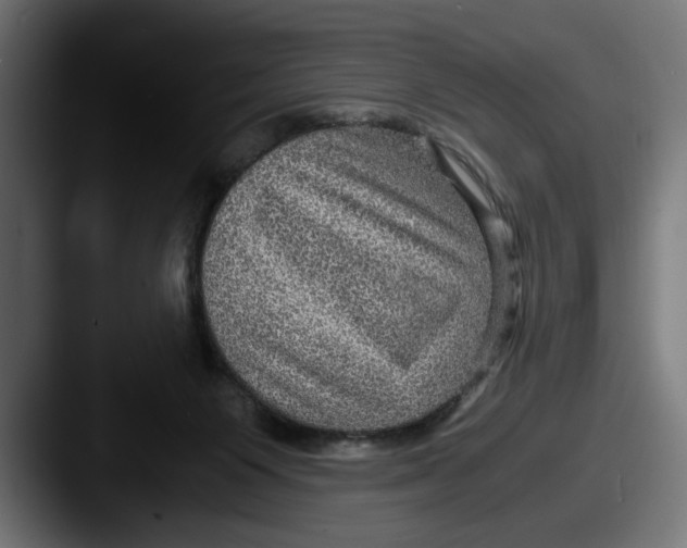 X0000087520119200705181019