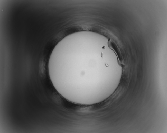 X0000087520122200705181019