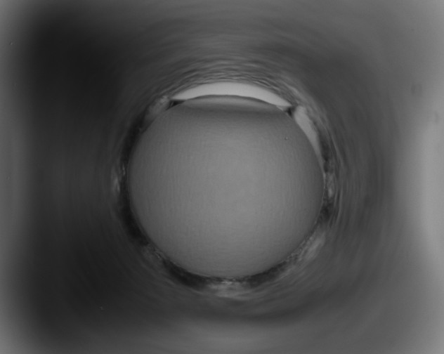 X0000087520125200705181019