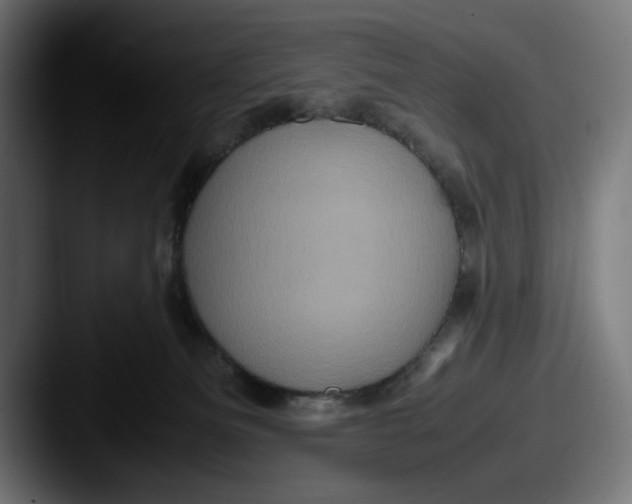 X0000087520133200705181019