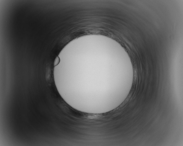 X0000087520134200705181019