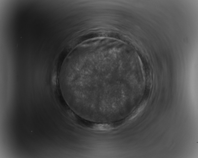 X0000087520137200705181019