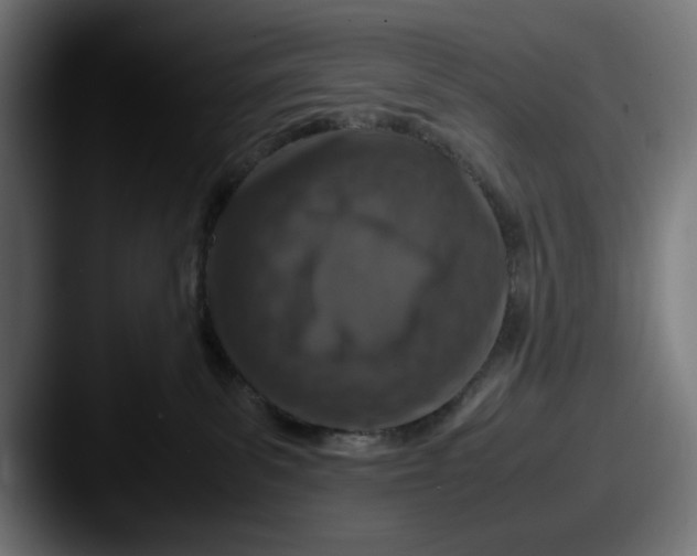 X0000087520139200705181019