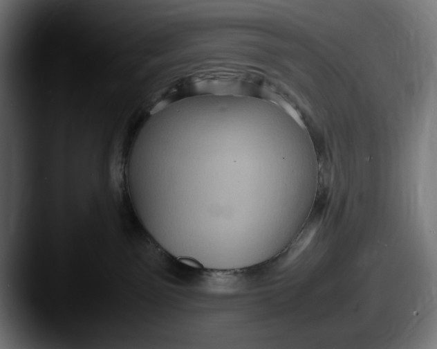 X0000087520141200705181019