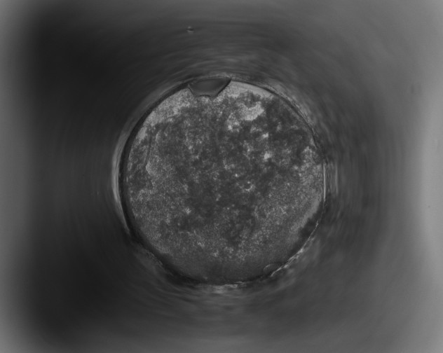 X0000087520147200705181018