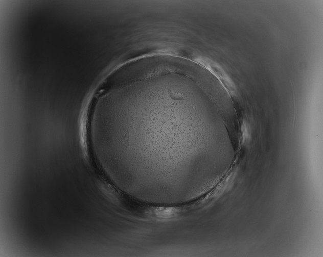 X0000087520152200705181018