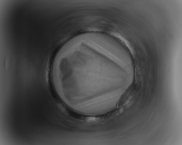 X0000087520153200705181019