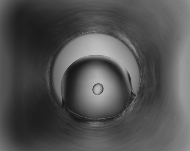 X0000087520154200705181019