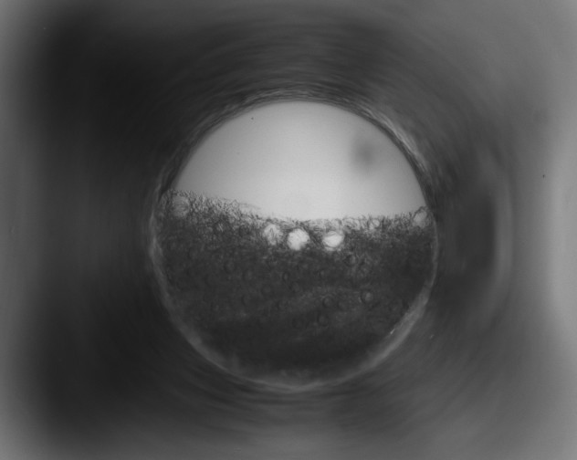 X0000087520159200705181019