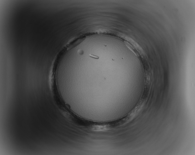 X0000087520160200705181019