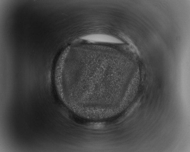 X0000087520161200705181019