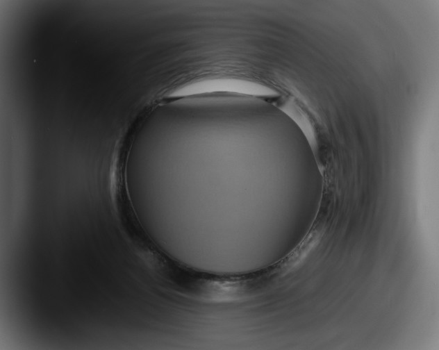 X0000087520164200705181019