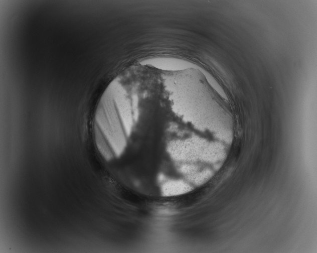 X0000087520169200705181019