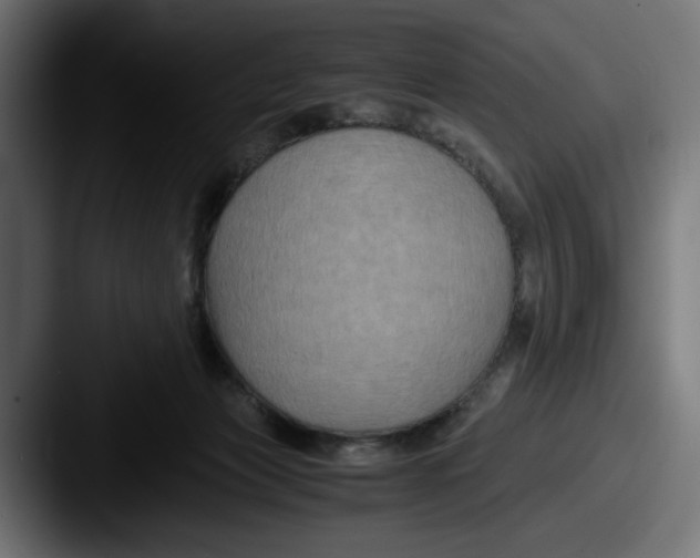 X0000087520173200705181019