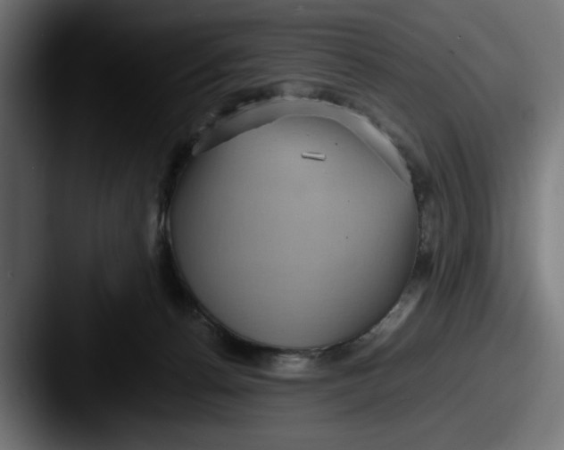 X0000087520176200705181019