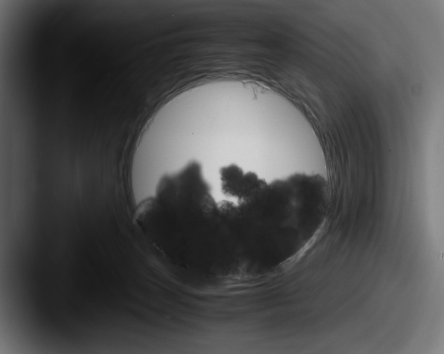 X0000087520179200705181019