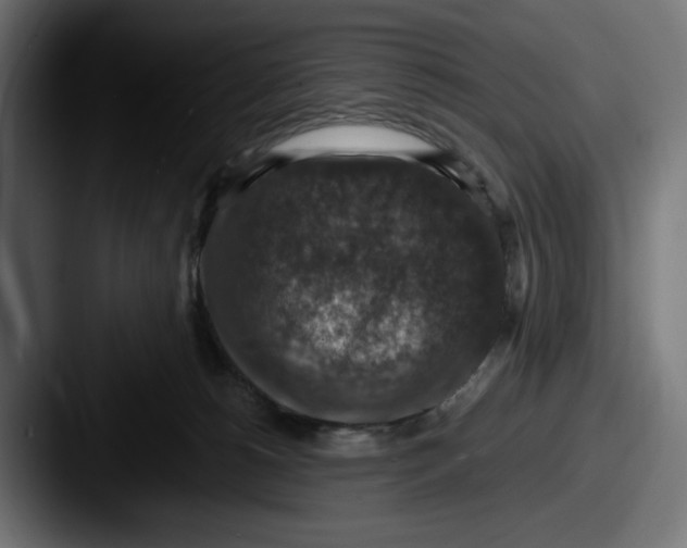 X0000087520180200705181019