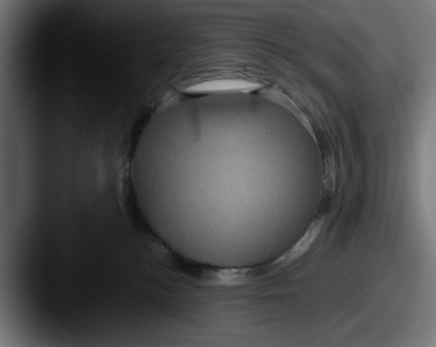 X0000087520184200705181019